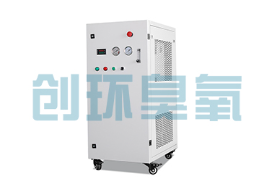 新华石斑鱼养殖水质调控完整指南：臭氧发生器配置与操作步骤