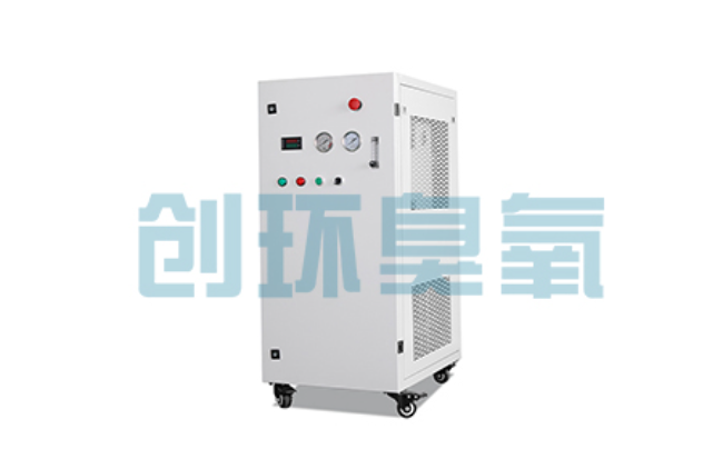 新华比传统换水更高效？臭氧发生器在石斑鱼养殖中的水质净化原理解析